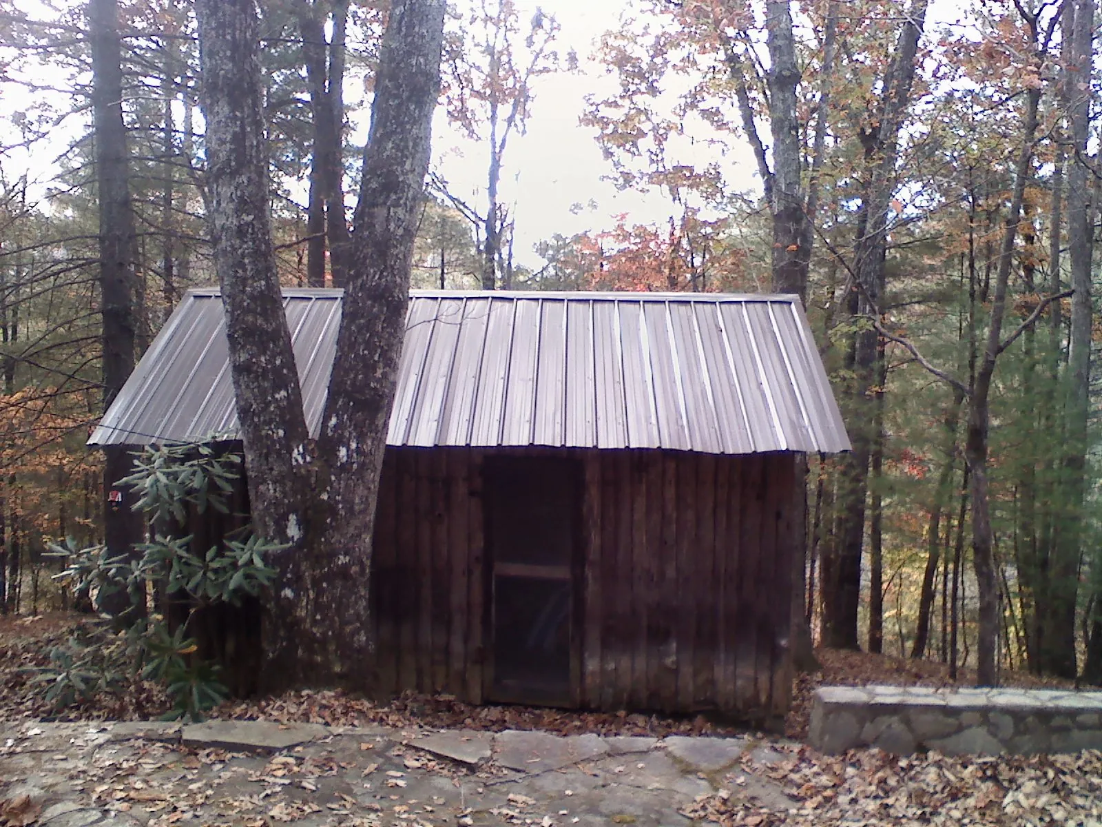 New metal gable roof on a small log shed among the trees in Teton